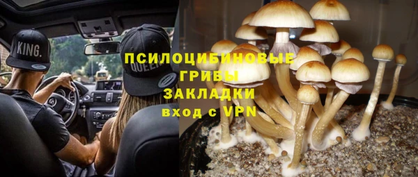 ALPHA PVP Алексин