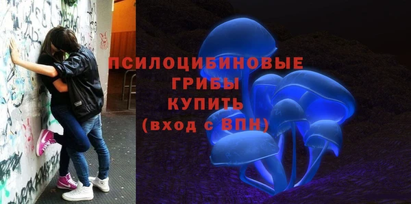 ALPHA PVP Алексин