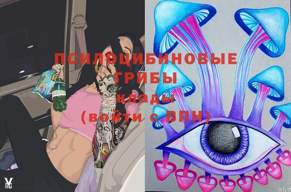 героин Покачи